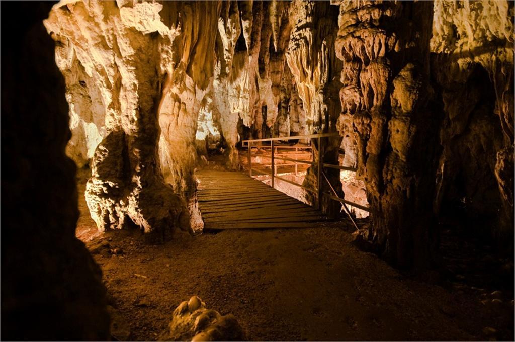 Apartment Špehar Seliste Dreznicko Bagian luar foto