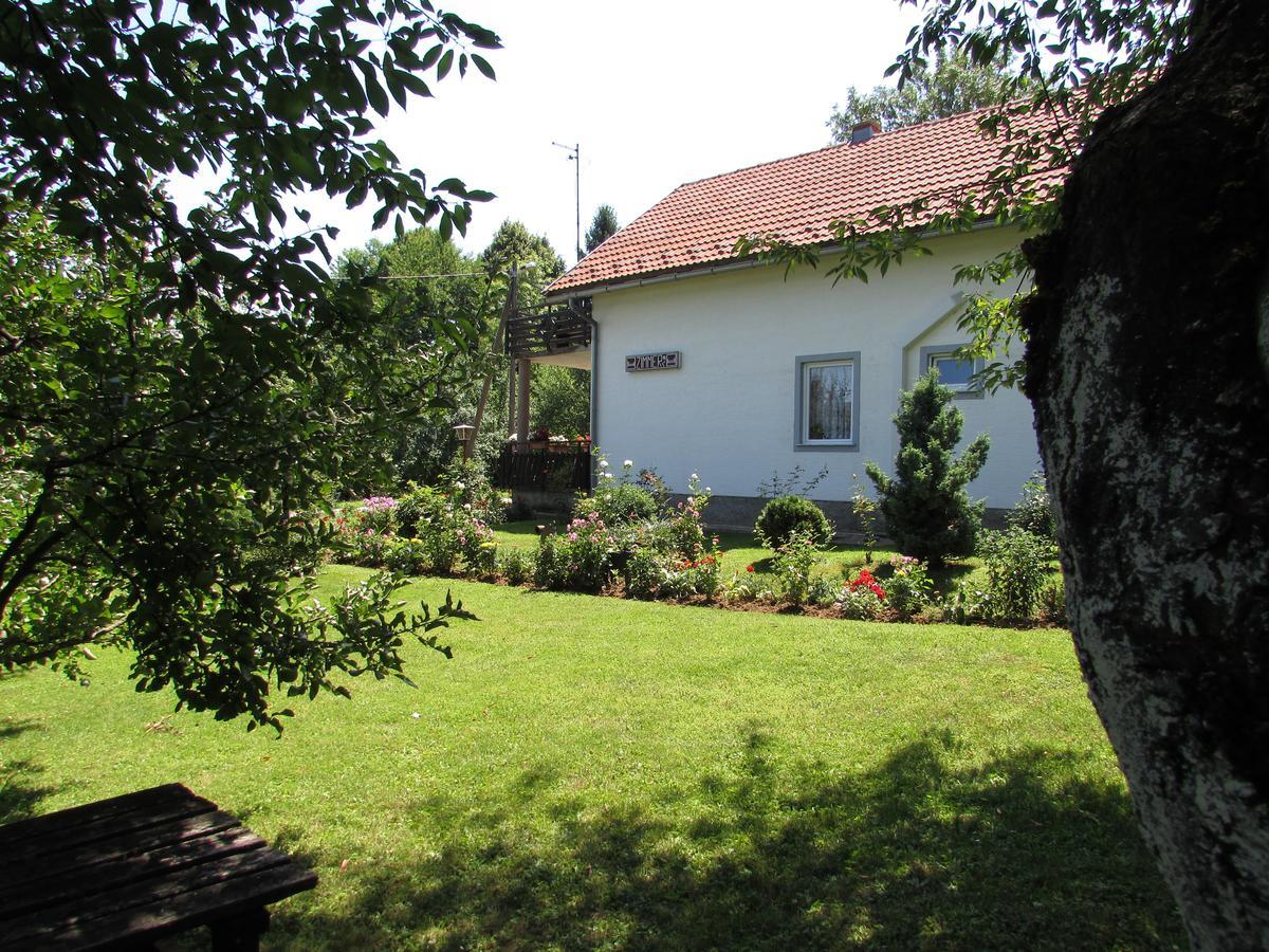 Apartment Špehar Seliste Dreznicko Bagian luar foto